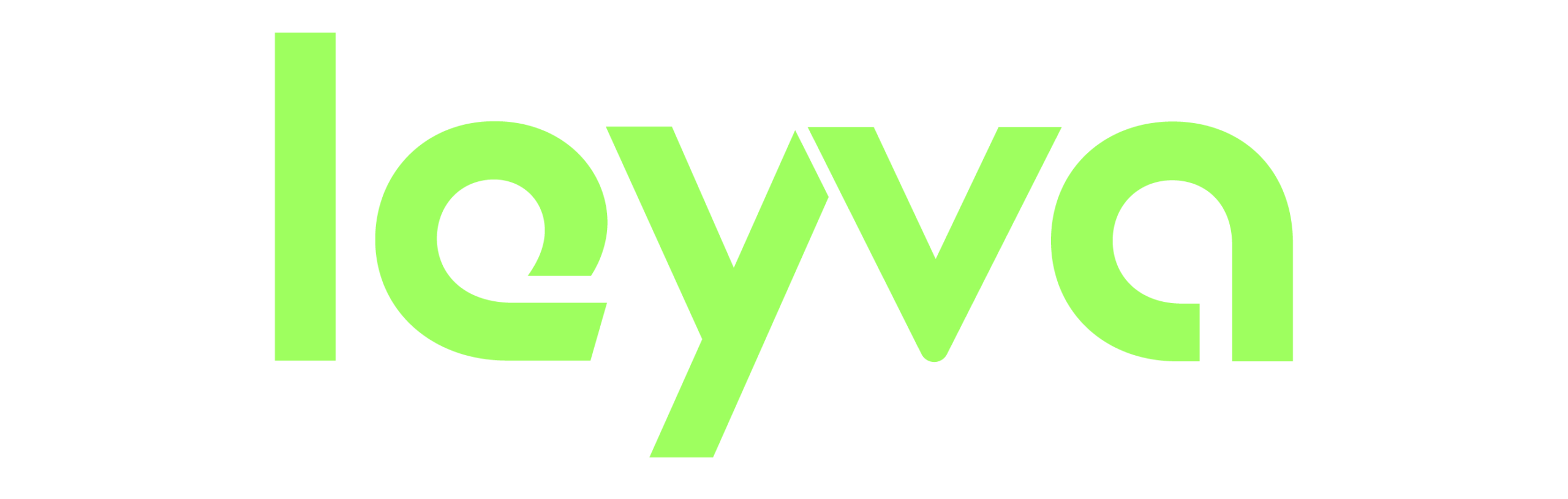 leyva webmaster and seo