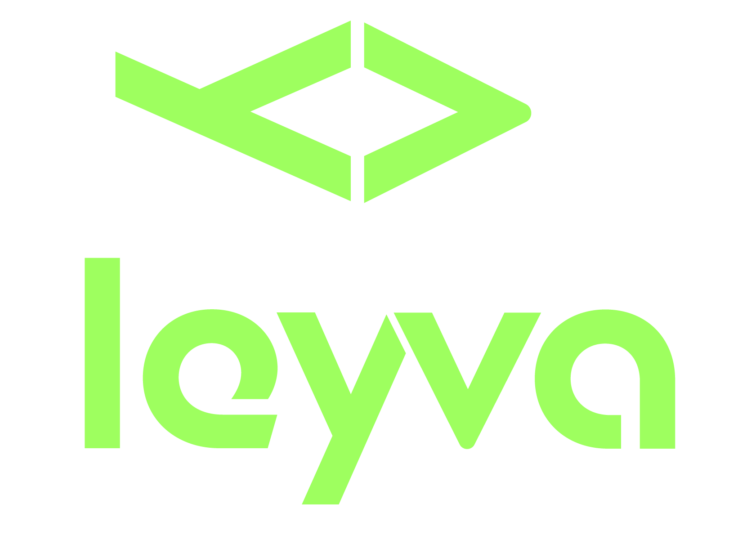 logo leyva webmaster and SEO